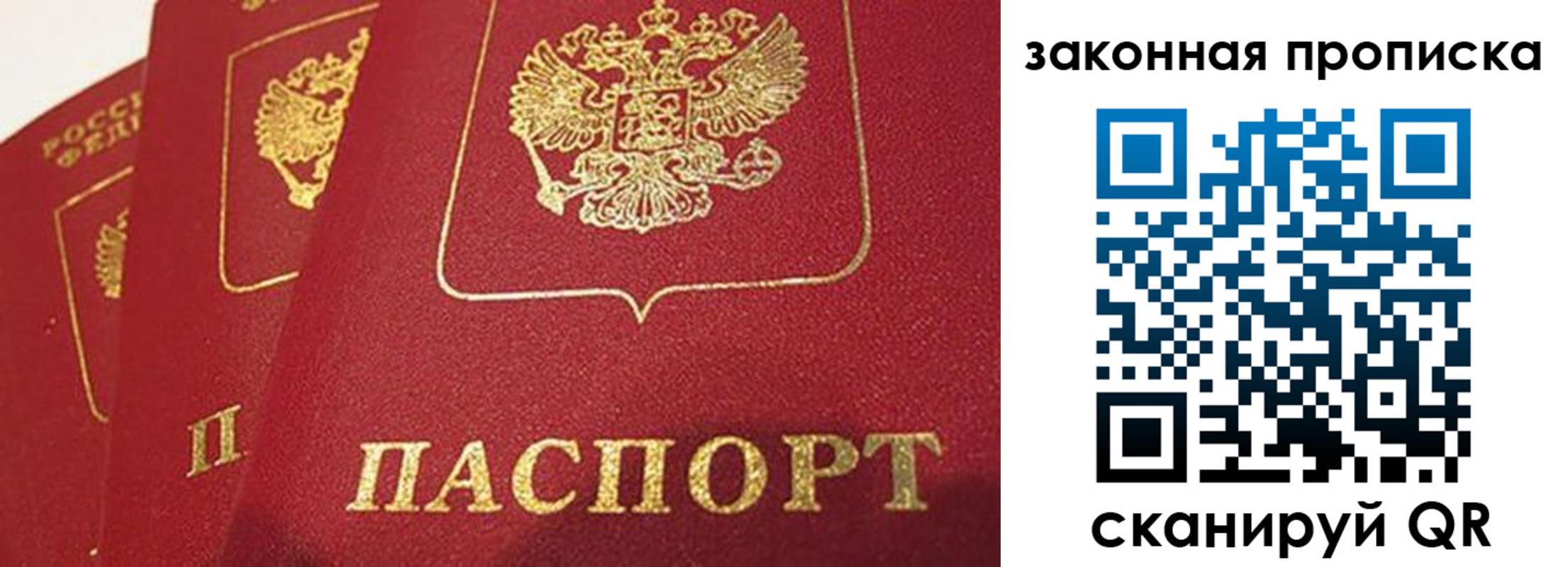прописка ребенка в Жуковском